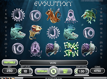 Игровой аппарат Evolution